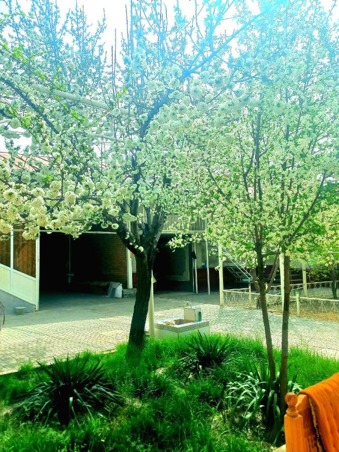 Colibri Traditional Guest House Samarkand Buitenkant foto